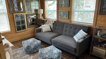 Smart TV, chimenea, libros