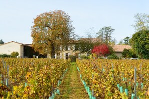 Terrain de l’hébergement 
