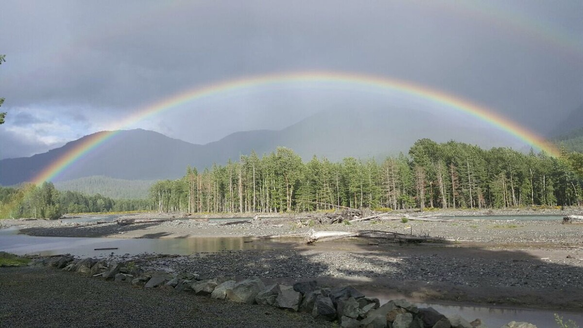 Imagen de perfil del propietario o de la propietaria
