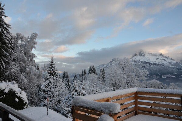 Property grounds - Cosy chalet with exceptional view of the Mt Blanc range (Combloux)