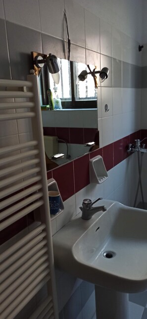 Duschwanne, Haartrockner, Handtücher, Seife