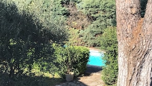 Un chemin de pierre mène à une piscine entourée d’une végétation luxuriante et d’arbres.