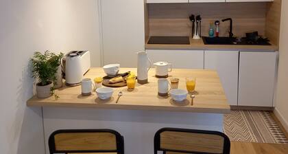 MISS PRUNE'S APARTMENT IN THE HEART OF VANNES