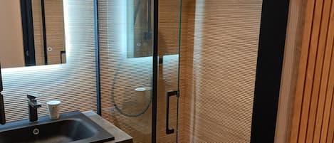 Shower, hair dryer, soap, toilet paper