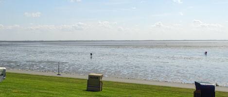 A grassy area with a bench and a trash bin labeled "MARIO" near a body of water.