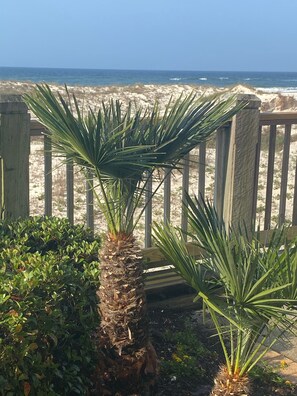 Àrea exterior de l'allotjament