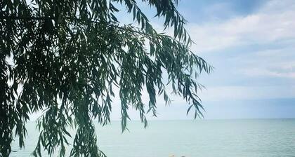 Red Jelly Bean Cabin- On the Beach & Off the Grid