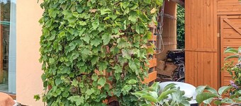 Lovely home in Sianów with kitchen