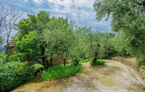 Property grounds - Lovely home in Buggiano with kitchen (Buggiano)
