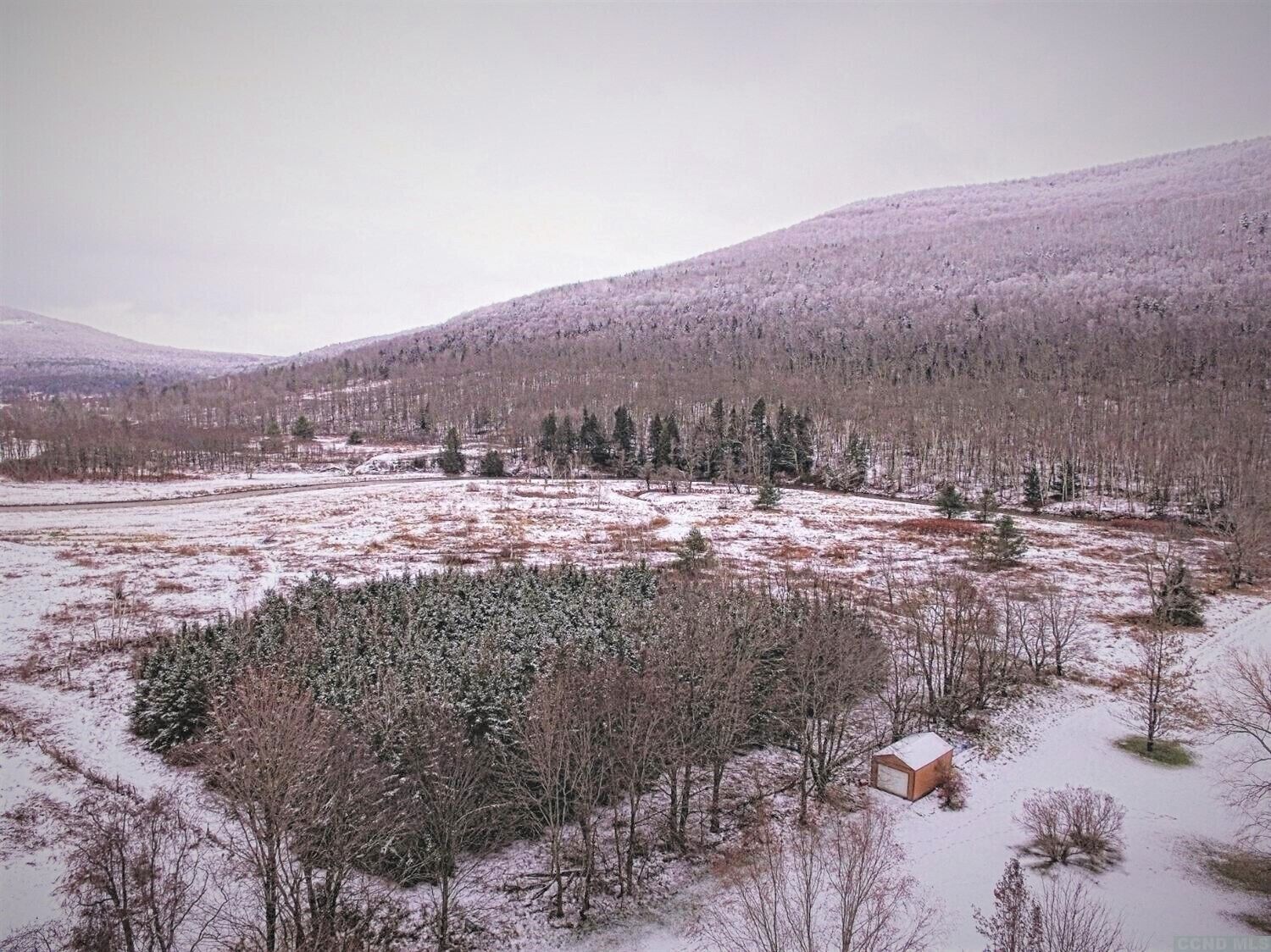 Un paysage enneigé avec une petite cabane entourée d’arbres et un arrière-plan vallonné.