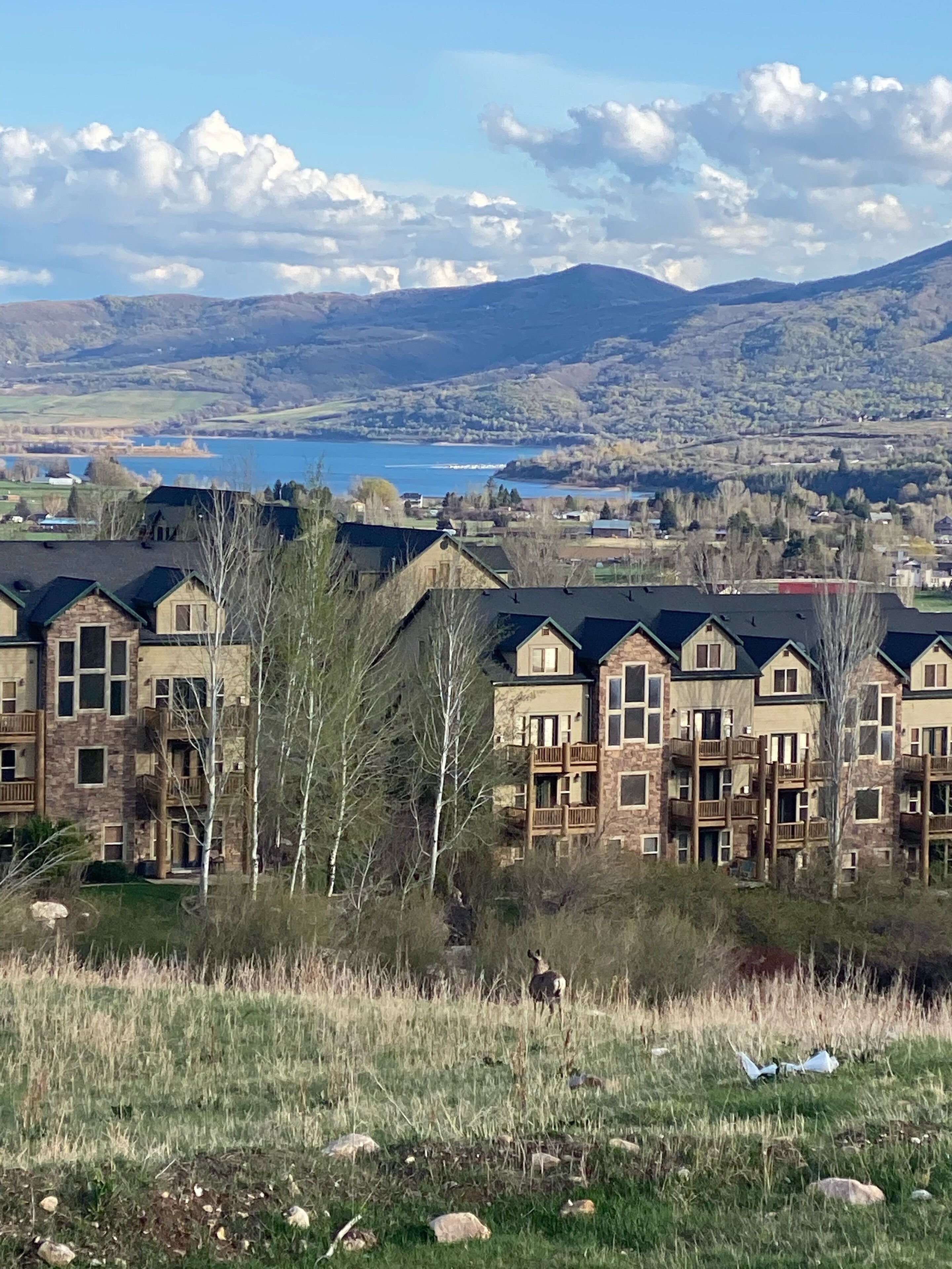 Condo