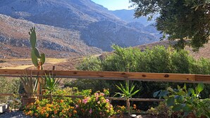 Un paysage désertique avec une clôture en bois, des cactus et des plantes en fleurs.