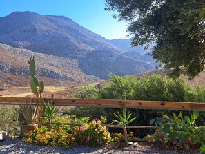 Paesaggio desertico con una recinzione di legno, cactus e piante da fiore.