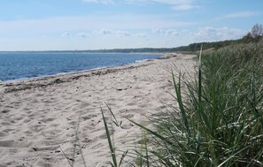 Beach nearby, fishing