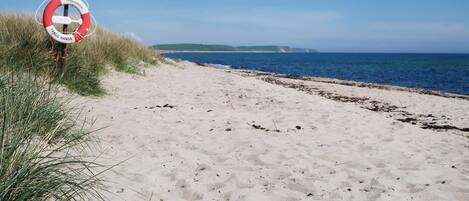 Una spiaggia nelle vicinanze, pesca