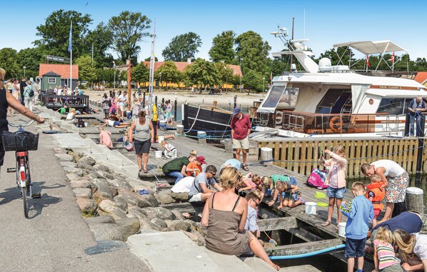 A dock area with people engaging in various activities, a boat named 'Viking Flagship II', and a small building with a red roof. - Nice home in Rørvig with kitchen (Rørvig)