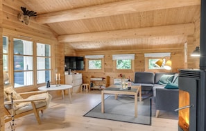 Fernseher, Kamin