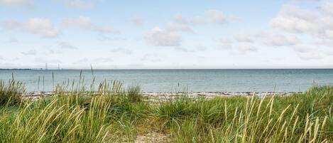 Beach nearby, fishing