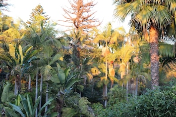 Incredible tropical canyon views!