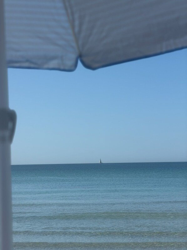 Plage à proximité, chaises longues, serviettes de plage
