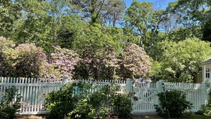 A garden with a white picket fence, flowering bushes, and a pathway leading to a building. - Perfect Family/Friends Reunion House in the Hamptons! Close to Ocean Beaches! (Hampton Bays)