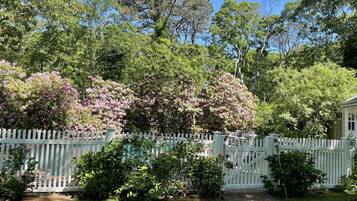 A garden with a white picket fence, flowering bushes, and a pathway leading to a building.
