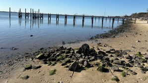 A beach with a wooden pier extending into calm waters, surrounded by rocks and pebbles. - Perfect Family/Friends Reunion House in the Hamptons! Close to Ocean Beaches! (Hampton Bays)