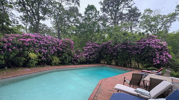 A swimming pool surrounded by lush greenery and purple flowers. - Perfect Family/Friends Reunion House in the Hamptons! Close to Ocean Beaches! (Hampton Bays)