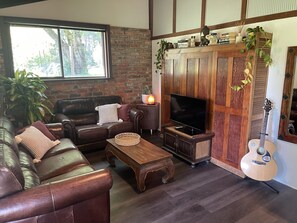 TV, fireplace, video games, DVD player