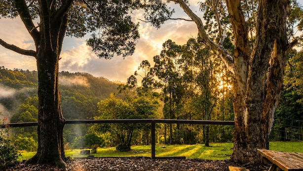 A campsite with a fire pit, picnic table, and a view of a forested landscape. - Top of the Otways - Nature Lodge (Barramunga)