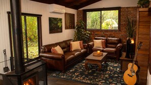 A cozy living room with a fireplace, leather sofas, a coffee table, and a guitar. - Top of the Otways - Nature Lodge (Barramunga)
