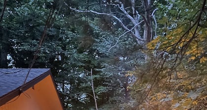 Perfect Poconos Retreat, .5 miles -Beach & Pool, Huge Game Room, Pet Friendly!