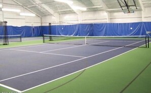Sport court - Perfect Poconos Retreat, .5 miles -Beach & Pool, Huge Game Room, Pet Friendly! (Hamlin)