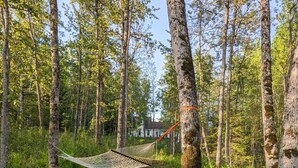 Un hamac est suspendu entre deux arbres dans une zone boisée, et le sol est recouvert de troncs d’arbres et de fougères.
