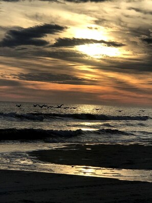 Beach nearby