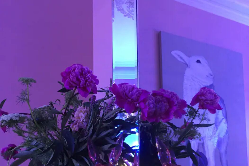 Historical terrace house in the middle of Fitzroy — image 2