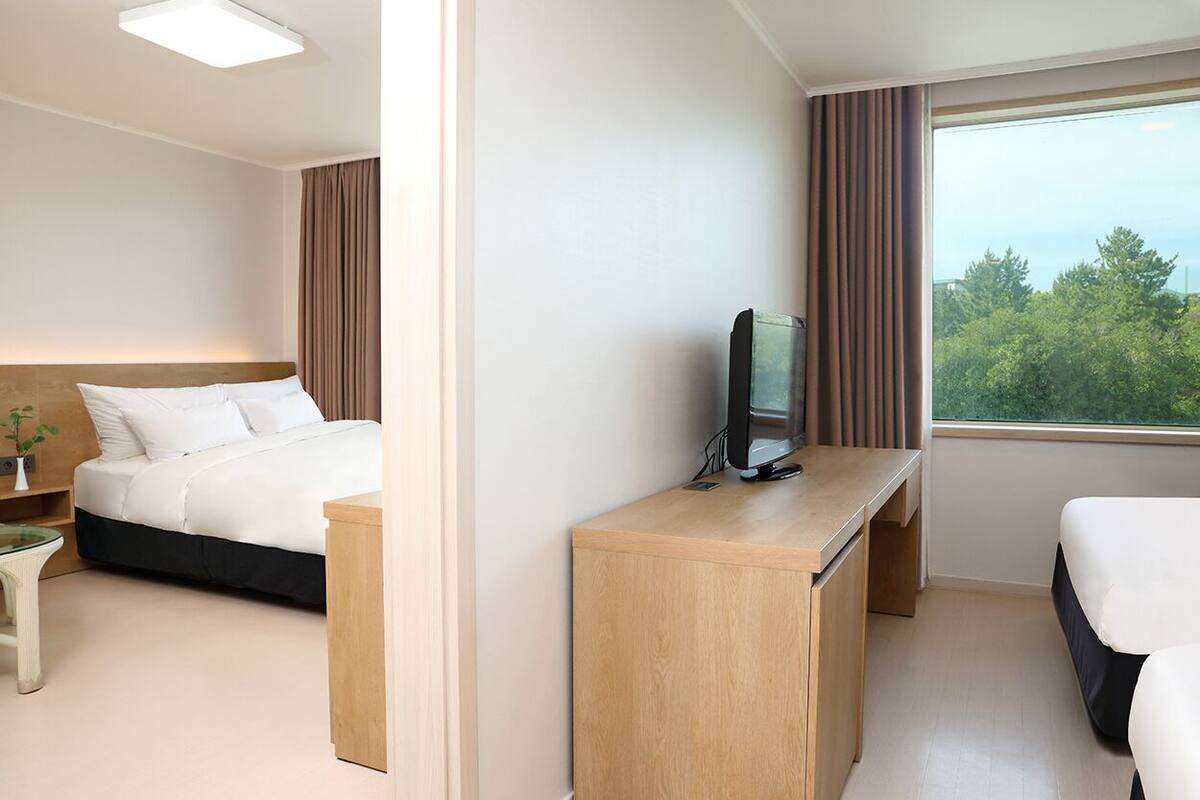 Habitación de hotel con cama, escritorio con televisor, una mesita con planta y un amplio ventanal con vistas a árboles.
