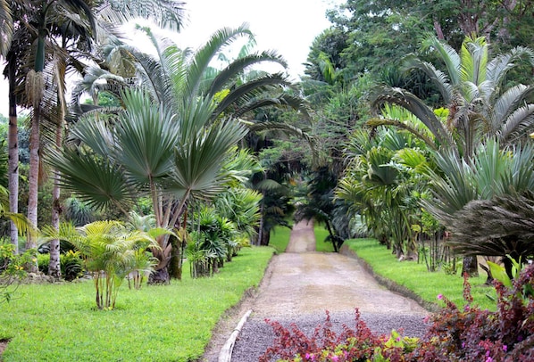 Property grounds