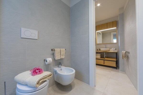 Shower, hair dryer, bidet, towels