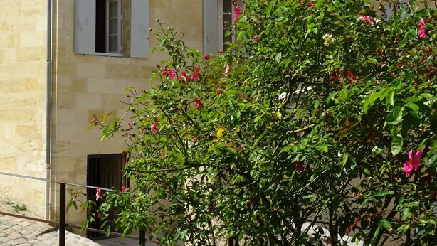 A stone building with multiple windows and a tree with pink flowers in front. - Maison au Cœur de Saint-emilion (Saint-Émilion)