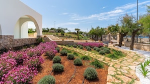 Un giardino curato con vialetto in pietra, siepi ben potate e piante fiorite.