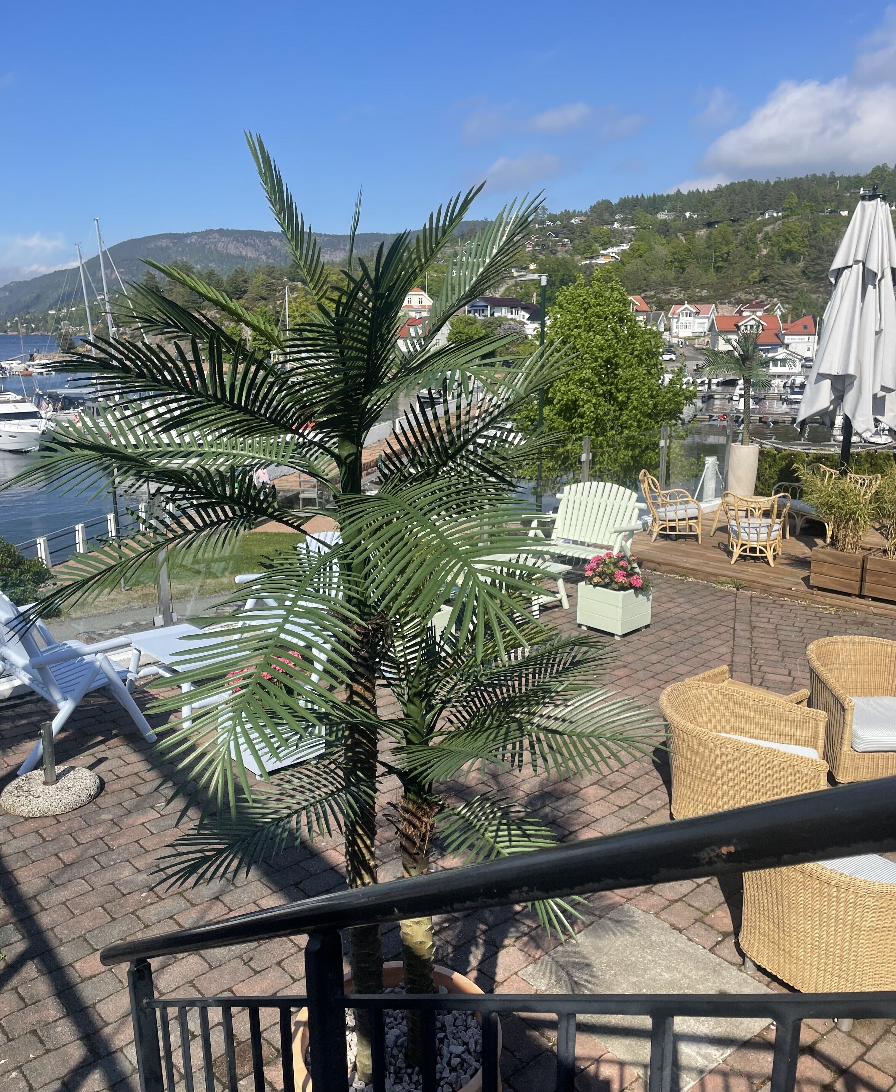 Une terrasse meublée de mobilier en osier, un palmier et une vue sur un port de plaisance et des maisons situées sur une colline.