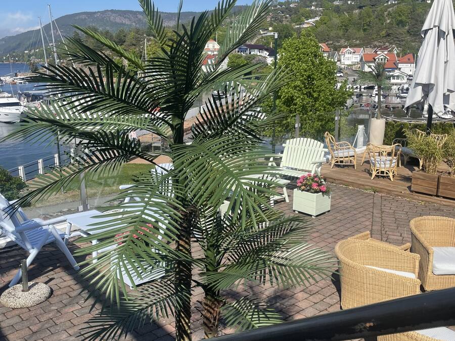Une terrasse meublée de mobilier en osier, un palmier et une vue sur un port de plaisance et des maisons situées sur une colline.