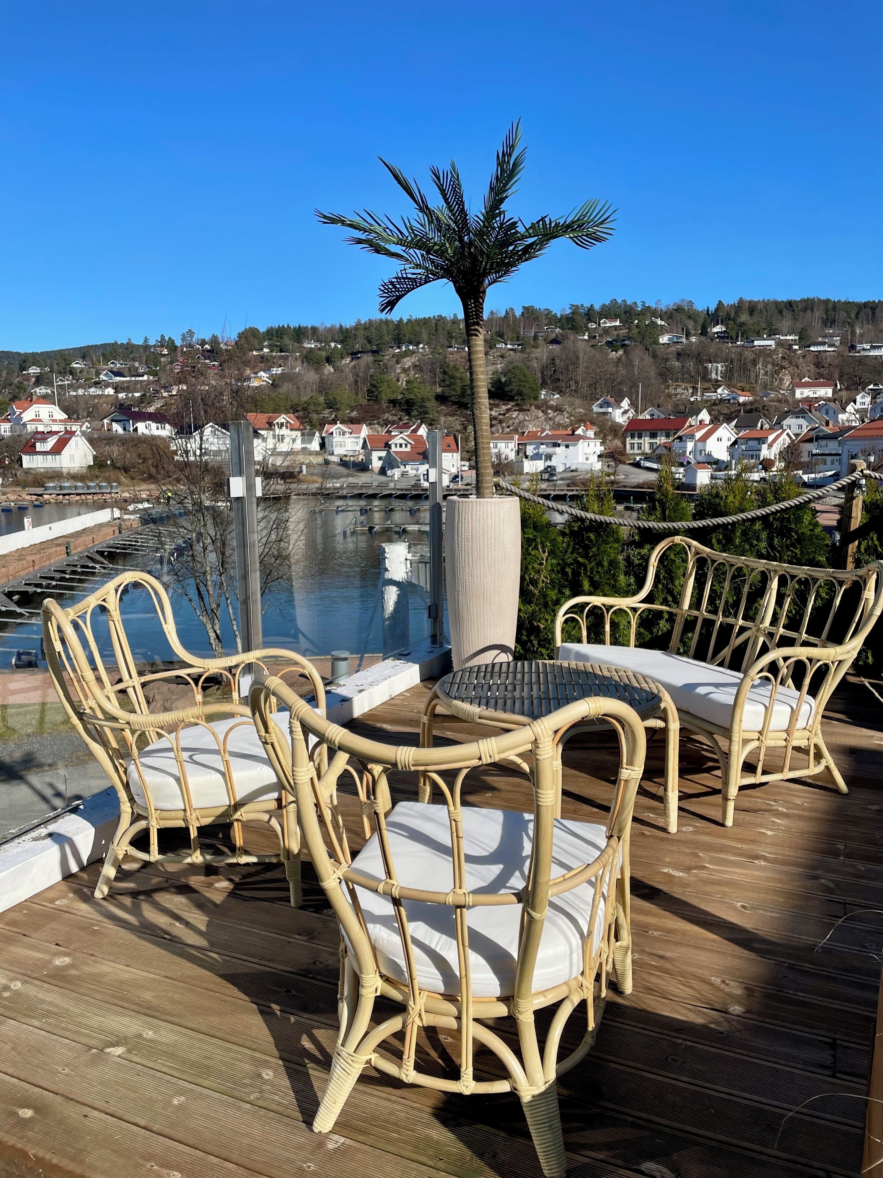 A deck with wicker furniture and a palm tree, overlooking a residential area.