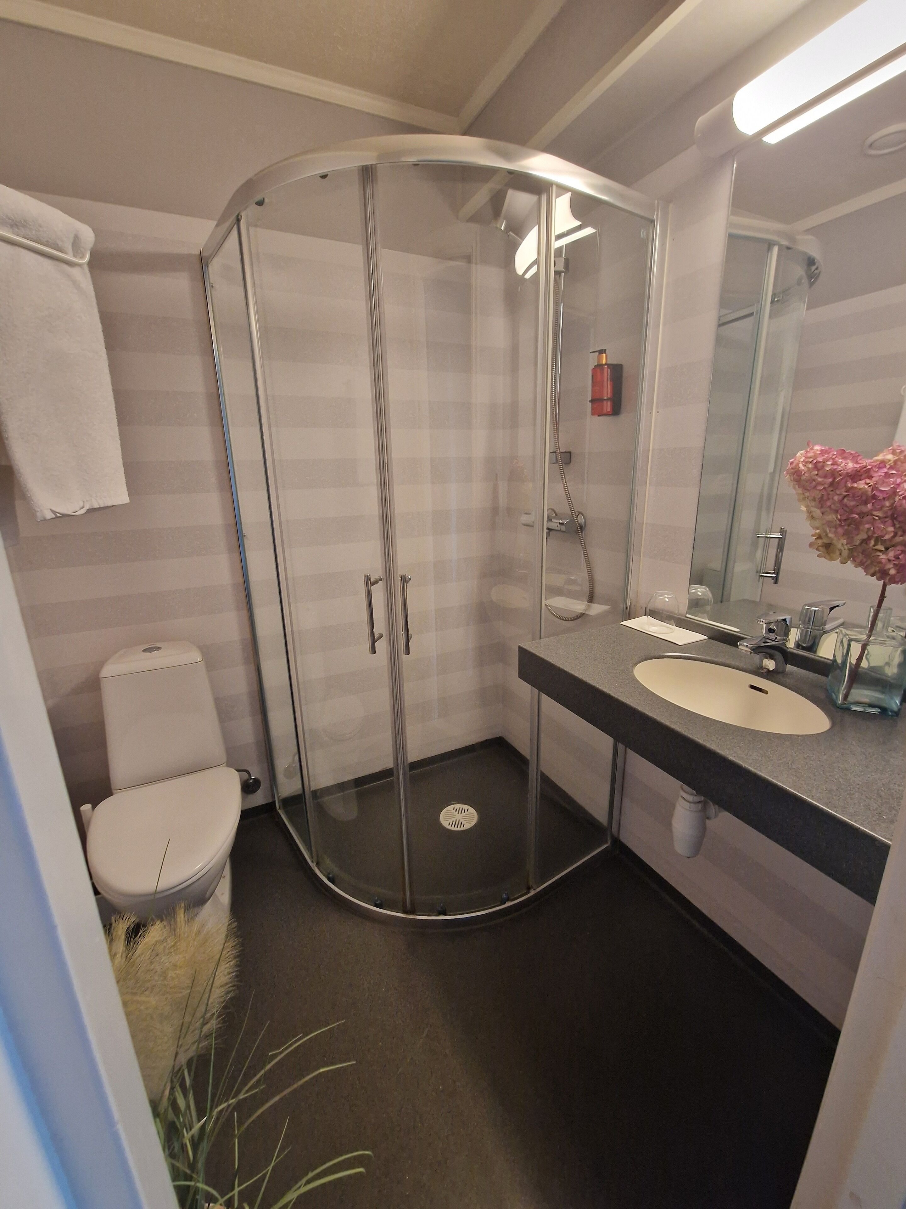 standard double room | bathroom | shower, towels
