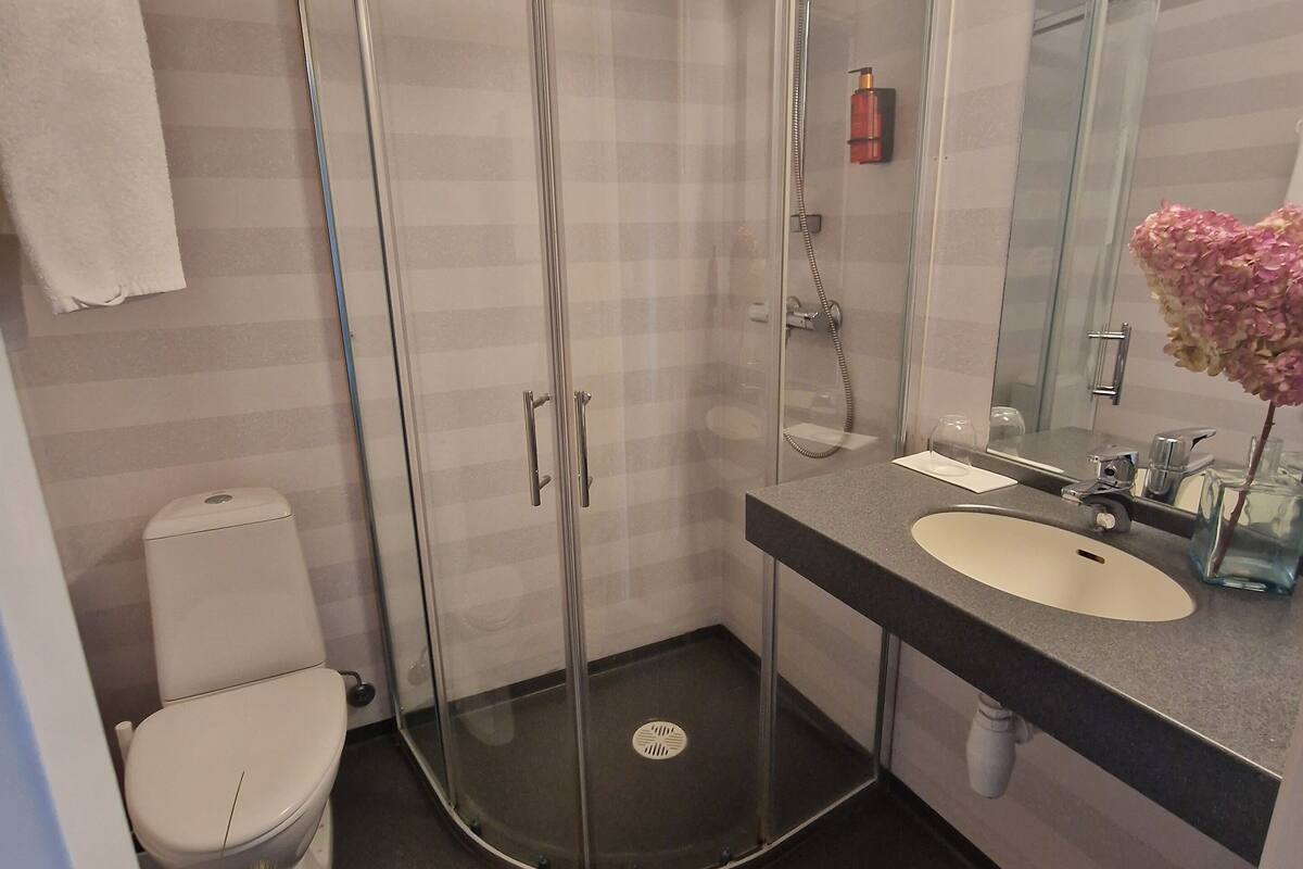 standard double room | bathroom | shower, towels