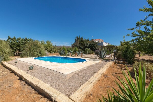 A rectangular swimming pool with a tiled deck, surrounded by a gravel area and various plants.