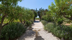 Un sentier de jardin avec une fontaine à oiseaux au centre, entouré de différentes plantes et arbres.