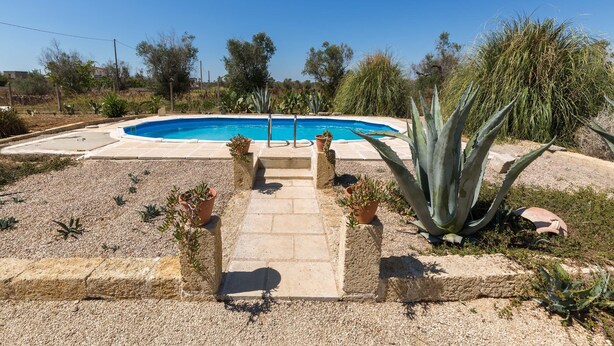 Une piscine bordée d’un chemin de pierre qui y mène, entourée de différentes plantes et de divers arbres.