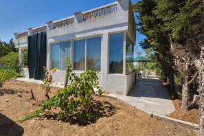 A modern house with large windows, a concrete pathway, and a garden with a small tree.